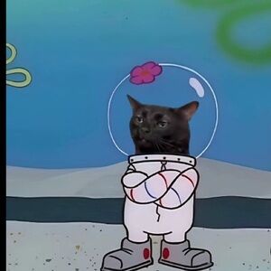 Meet your Posher, Lavonta